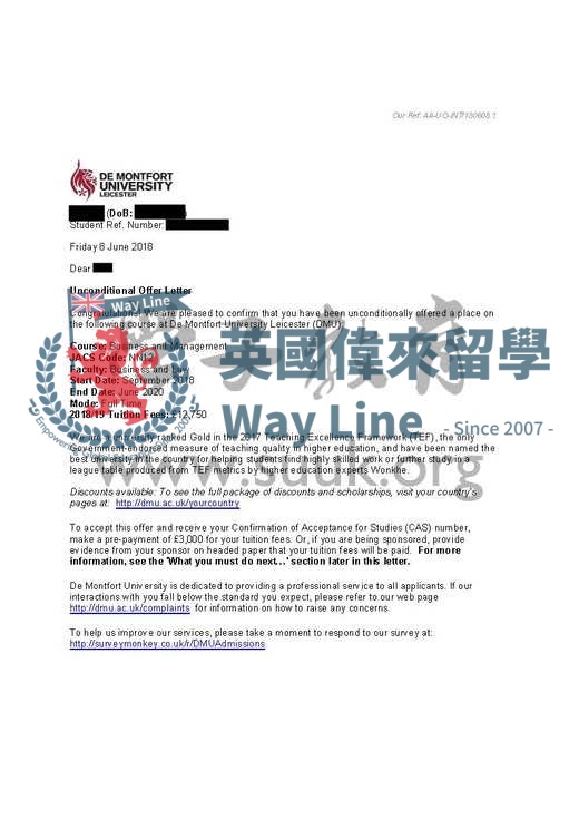 英國德蒙福特大學商務與管理本科大三